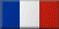 fran&ccedil;ais